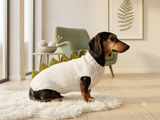 Knitted Dinosaur Costume for Dogs - Custom Dachshund Sweater