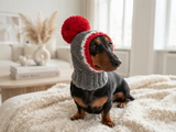 Monkey pet hat with big pompom, warm winter dog hat with pompom