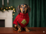 Christmas tree wool sweater with arans for dog, dachshund warm clothes jumper with cable
