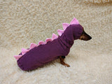 Cute Dino Dog Outfit – Personalized Handcrafted Dog Sweater Set