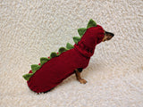 Dinosaur Dog Sweater and Hat Set – Handmade Knitted Pet Costume