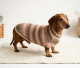 Pink striped knitted sweater for dachshund dogs, clothes for dachshund