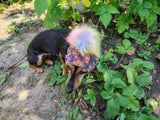 Handmade Dachshund Beanie, Knitted Dog Snood with Pom Pom, Winter Puppy Hat, Small Pet Ear Warmer, Custom Dog Apparel