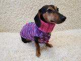 Original dog sweater with arans and pom-poms Rainbow melange dog sweater with cable knit, warm knitted winter dachshund outfit pet clothes