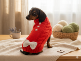 Easter clothes with bunny rabbit for pet sweater with arans and bow for dog with bunnies