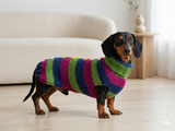 Dinosaur striped jumper with wooden buttons for pets