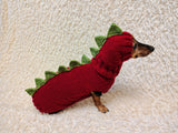 Dinosaur Dog Sweater and Hat Set – Handmade Knitted Pet Costume