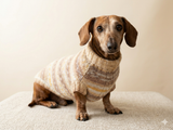 Knitted clothes dachshund sweater, dachshund clothes, dachshund sweater, doxie clothes