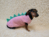 Handmade Dinosaur Sweater for Dachshunds – Knitted Pet Costume