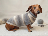 Knitted gray sweater for small dog