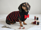 Black dog sweater with red stripes and a bow