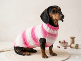 Pink melange batik sweater for dog, Dachshund Sweater, Dog Clothes, Dog sweater, Dachshund clothes, Wiener dog clothes, Winter dog sweater