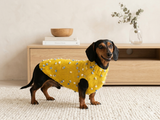 Jumper with flowers for a mini dachshund,Sweater with flowers and butterflies for miniature dachshund or small dog.