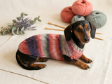 Rainbow sweater for a dachshund or small dog