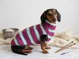 Dachshund clothes knitted sweater, knitted wool sweater for dachshund or small dog