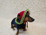 Watermelon Dog Bucket Hat, summer panama cap with open ears dachshund, pet clothes photo shoot gift dog's mom