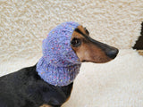 14 color Dog Hat Alpaca Tweed Striped, Knitted Set Warm Pet Clothes outfit apparel, Closed Ear Cap for Dachshunds beanie