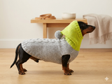 L Winter wool coat with hood for dachshund or small dog