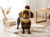 Comfort-Fit Knitted Dog Snood for Dachshunds - Soft Ribbed Dog Hat with Pom-Pom - Stay-On Winter Headwear for Long-Haired & Smooth Doxies