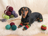 Leggings for dog cat set 4 pieces, leggings for dog,dog gaiters
