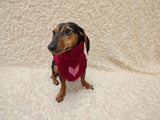 Wool Heart sweater with arans for a dog, dachshund warm clothes jumper with Cable