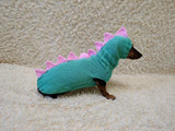 Dinosaur Dachshund Sweater with Hat  Knitted Dog Costume for Wieners