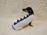 Funny Dinosaur Dog Sweater – Handmade Crochet Pet Clothing