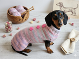 Angora dog sweater with flowers