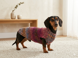 Warm coat for wiener dog, Miniature Dachshund Knitted Jumper, Dachshund clothes knitted sweater, wool sweater for dachshund or small dog