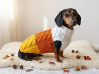 Candy Corn Pet Costumes,Dog Sweater Halloween Costumes,Candy Corn Pet  Costumes,Puppy Cat Dog Halloween Sweater – dachshundknit