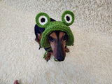 Frog Dog Bucket Hat, summer panama cap with open ears dachshund, pet clothes photo shoot gift dog's mom
