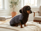 Hooded Dog pet Sweater, Sweater with hood for dachshund or small dog, sweatshirt knitted for dog