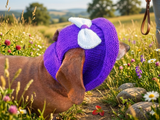 Knitted summer panama for dog, panama for dachshund, summer hat for dog
