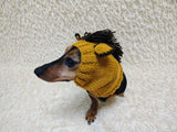 Knitted Donkey Snood Hat for Dachshund - Handmade Dog Costume with Ears and Mane