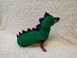 Matching Dog Sweater and Hat – Adorable Dinosaur Pet Apparel