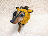 Knitted Donkey Snood Hat for Dachshund - Handmade Dog Costume with Ears and Mane