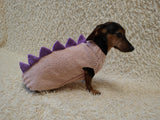 Cute Dinosaur Dog Jumper - Handmade Winter Apparel for Pets