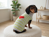 Sweater with hearts, wool sweatshirt for dog, hoodie for dachshund with heart
