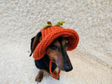 Pumpkin Panama Dog Hat Halloween Summer Hat with Open Ears for Dachshund Pet Clothes Photo Shoot Gift for Dog Mom