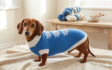 Christmas knitted sweater with snowflakes for dog