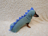 Crocheted Dinosaur Dog Costume – Funny Pet Sweater with Spikes