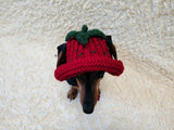 Strawberry Panama Dog Hat Summer Open Ear Hat for Dachshund Pet Clothes Photo Shoot Gift for Dog Mom