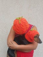 Matching Halloween Pumpkin Hat Set: Mom & Dog Angora Blend Knit
