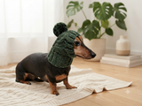 Warm hat for dog or cat, hat for a dog, hat for small dog, hat for dachshund, knitted hat, warm ears of dog