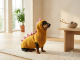 Dino-Themed Dog Sweater Set – Unique Handmade Pet Outfit