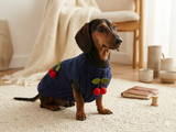 Pet clothes with cherries dog sweater with cherries