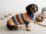 Rainbow sweater for a dachshund or small dog
