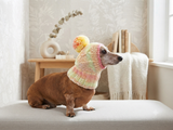 Dachshund christmas  hat with big pompom