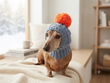 Gray hat with orange pom-pom for the dog, Winter gray hat for dachshund dog with pompom