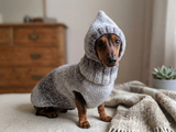 Mohair Dog Sweater and Hat Set: Warm Winter Dachshund Suit